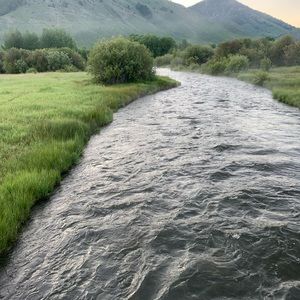 Meet your Posher, Shannon